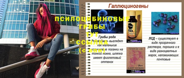 меф Горно-Алтайск