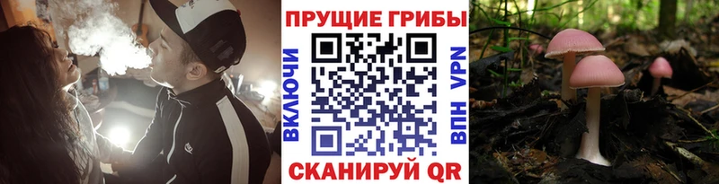 Галлюциногенные грибы мухоморы  Купить где  Калач 